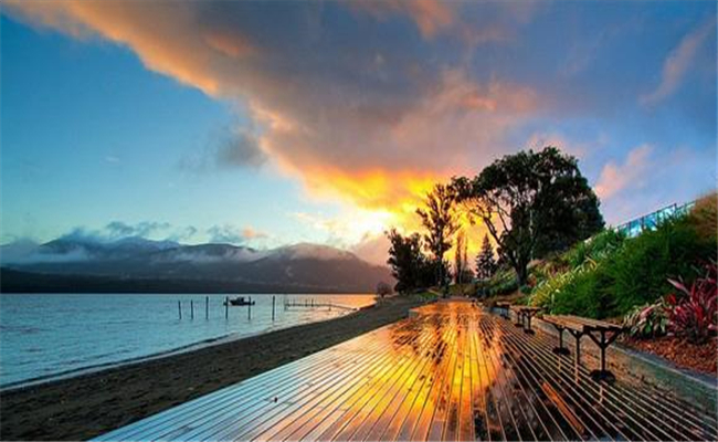 去新西兰留学有哪些条件?新西兰留学费用是多少?