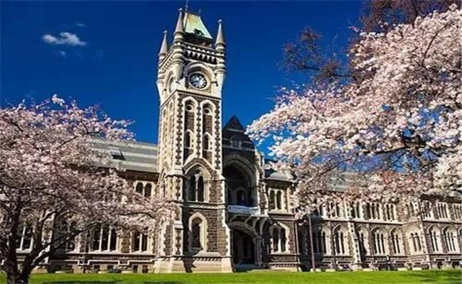 新西兰留学专业有哪些?你知道怎么选择吗?