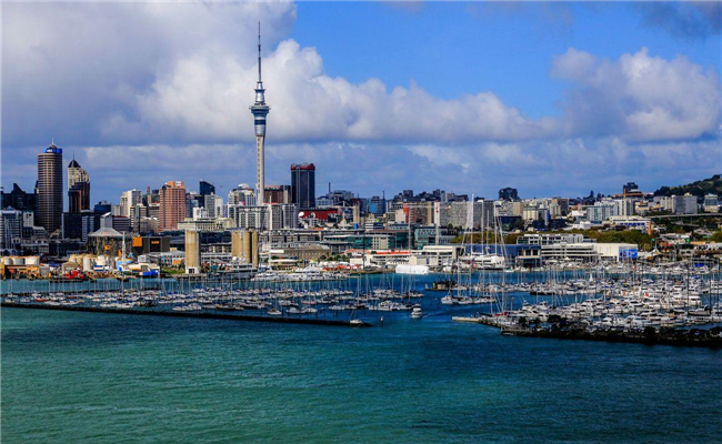 新西兰留学热门专业有哪些?哪些专业好就业?