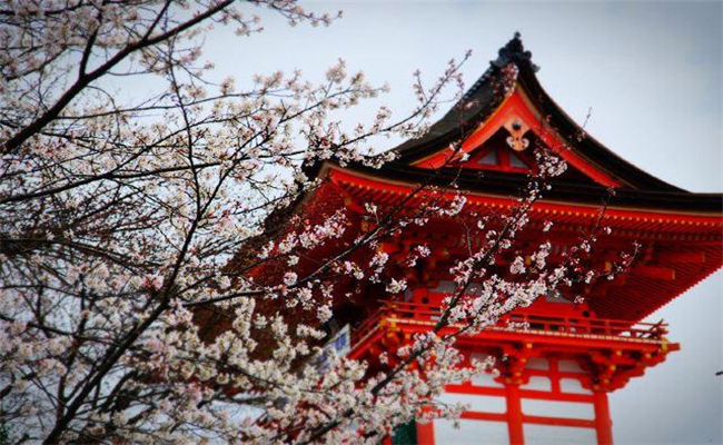 去日本留学读研一年，需要花费多少钱呢?